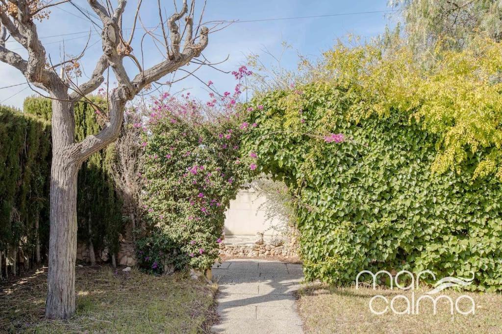 Villa Elvira By Marcalma Les Tres Cales Kültér fotó